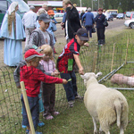 &copy; Myr&auml;kk&auml; ry