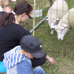 &copy; Myr&auml;kk&auml; ry