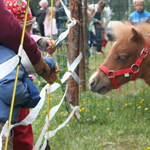 &copy; Myr&auml;kk&auml; ry