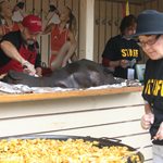 &copy; Myr&auml;kk&auml; ry