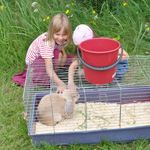 &copy; Myr&auml;kk&auml; ry