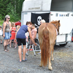 &copy; Myr&auml;kk&auml; ry