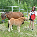 &copy; Myr&auml;kk&auml; ry