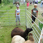 &copy; Myr&auml;kk&auml; ry