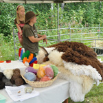 &copy; Myr&auml;kk&auml; ry