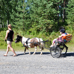 &copy; Myr�kk� ry