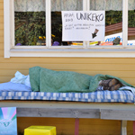 &copy; Myr�kk� ry