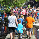 &copy; Myr�kk� ry