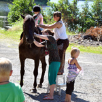 &copy; Myr�kk� ry