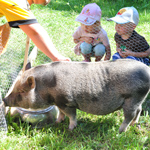 &copy; Myr�kk� ry