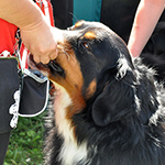 &copy; Myr�kk� ry