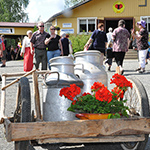 &copy; Myr�kk� ry