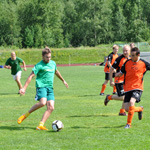 &copy; Myr&auml;kk&auml; ry